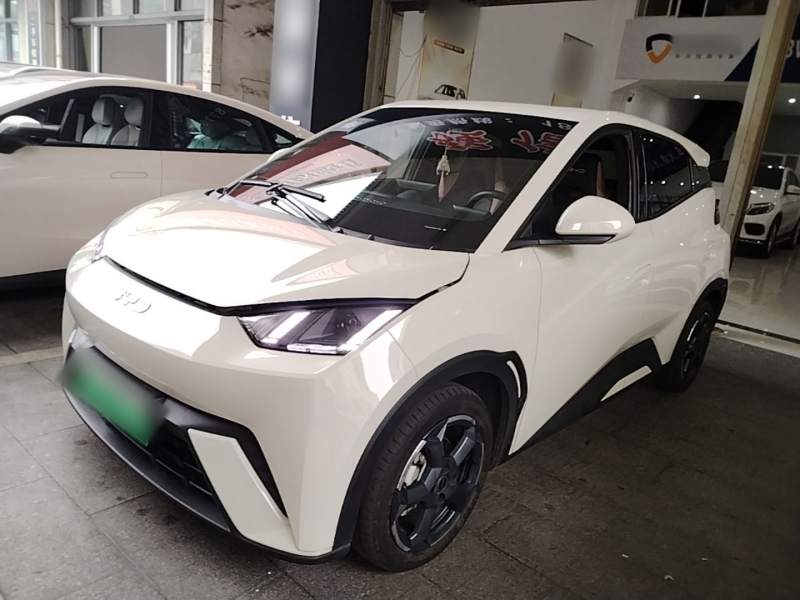 Used BYD Seagull 2024 Honor Edition 405km Flying Version — 1