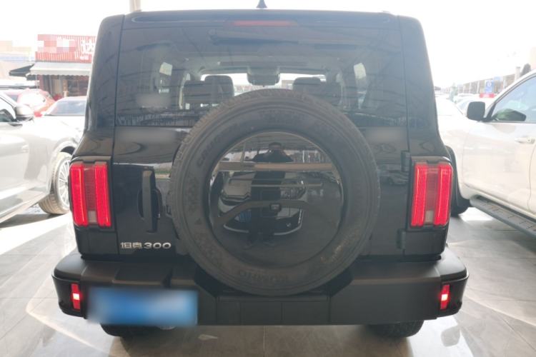 Used Tank 300 2024 2.0T Conqueror
