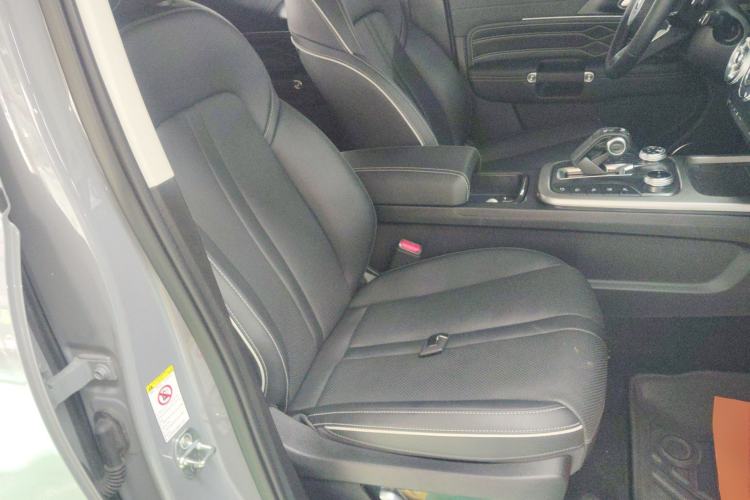 Used Tank 300 2024 2.0T Crosser