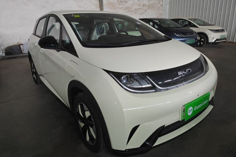 Used BYD Dolphin 2025 420km Free Edition
