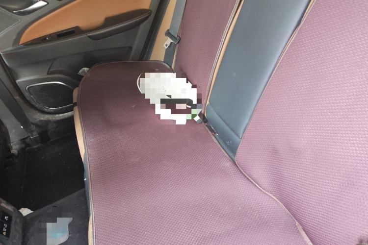 Used BYD Qin New Energy 2018 1.5T Smart Connect Premium Model