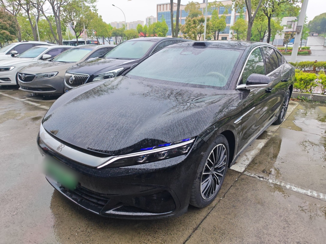 Parte inferior delantera