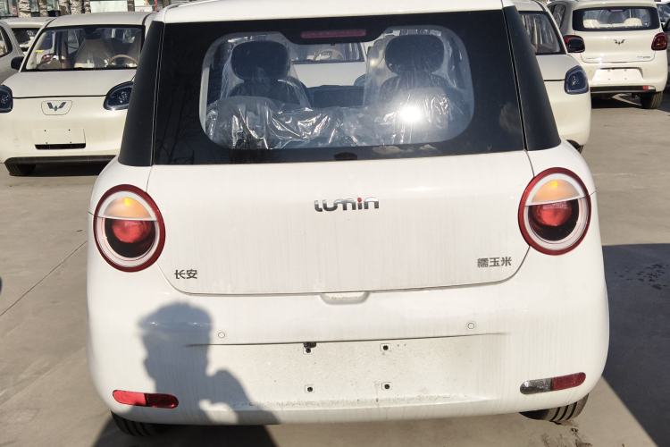 Used Qiyuan Lumin 2025 205 km Xiangqin Version
