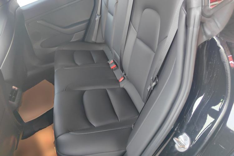 Used Tesla Model 3 2021 Standard Range Rear-Wheel Drive Upgraded Version 3D6
