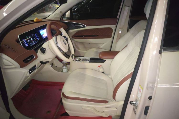 Used ORA Good Cat 2022 400km Standard Range Luxury Version Lithium Iron Phosphate
