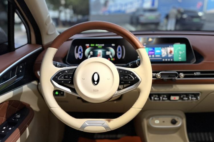 Used ORA Good Cat 2024 401 km Luxury Version