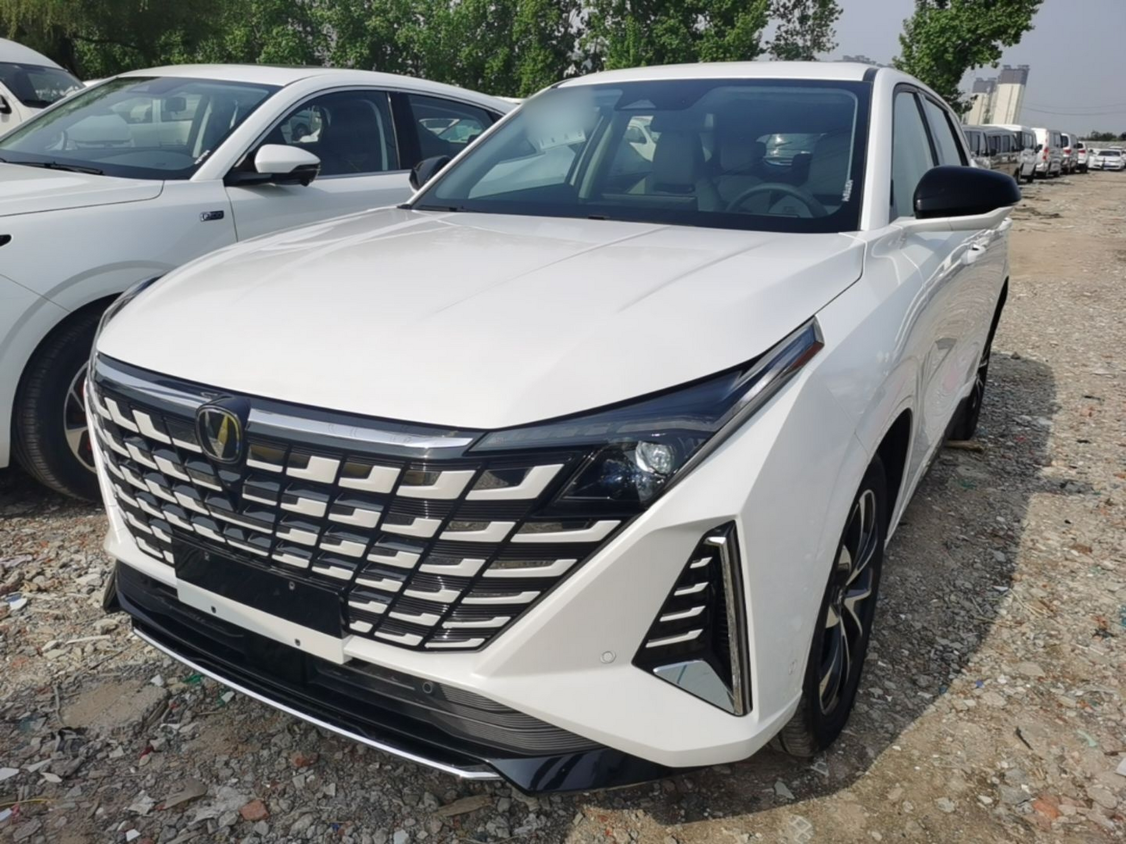 Parte inferior delantera