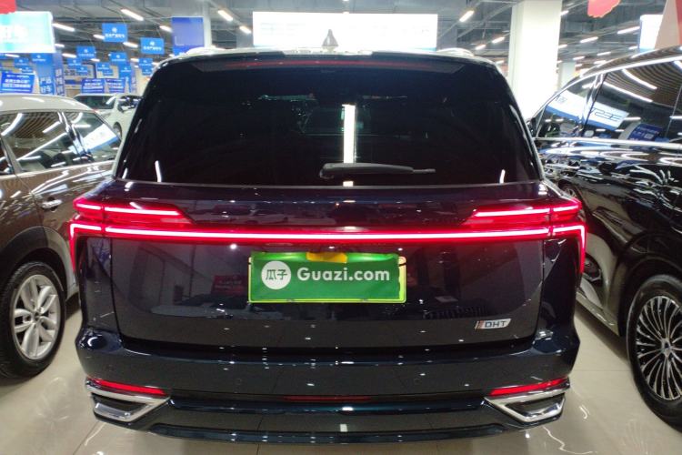 Used Wey Lanshan 2023 Four-Wheel Drive Ultra-Long Range Version
