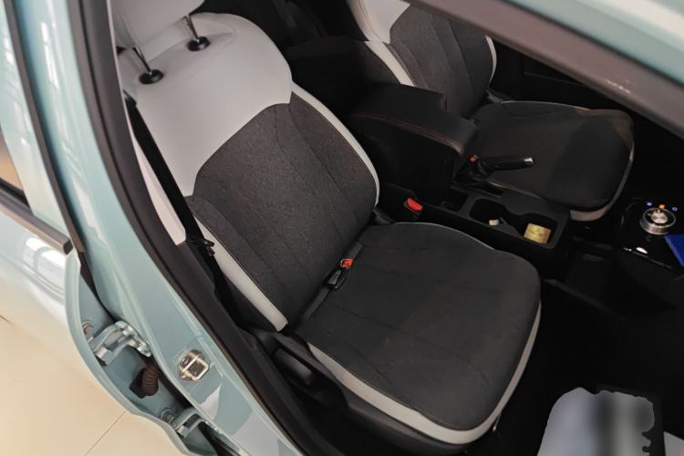 Used Geometry E Firefly 2024 301km Flowing Light Right Front Seat