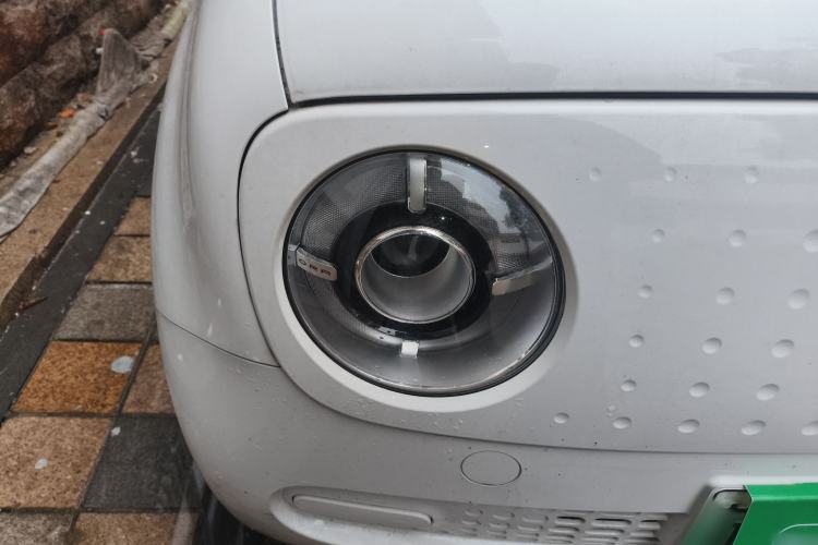 Used ORA Black Cat 2021 301km Cute Pet Edition