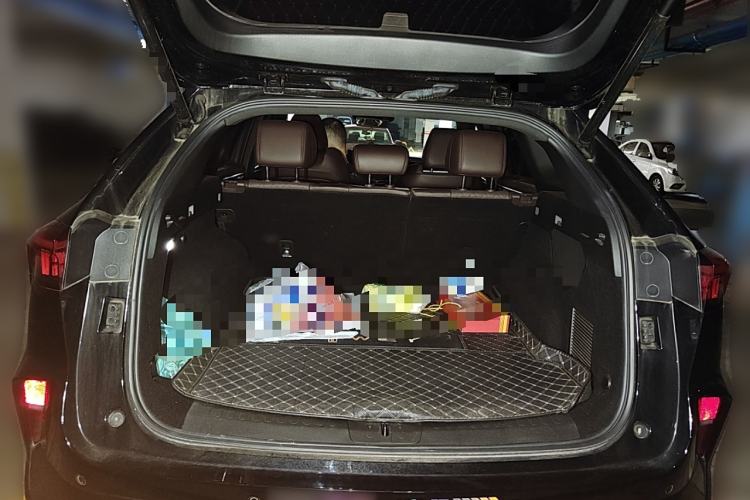 Used Wey Mocha 2021 2.0T Two-Wheel-Drive Premium Edition