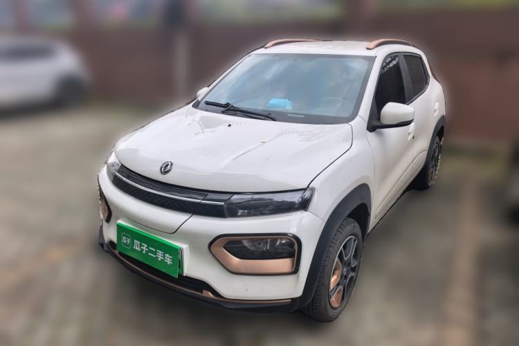 Used Dongfeng NAMMI EX1 2023 PRO Light Wind Edition Lightning Model