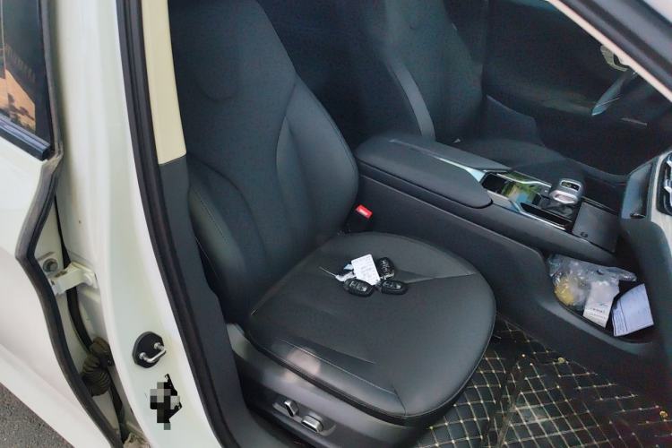 Used Hongqi E-QM5 2024 560km PLUS Right Front Seat