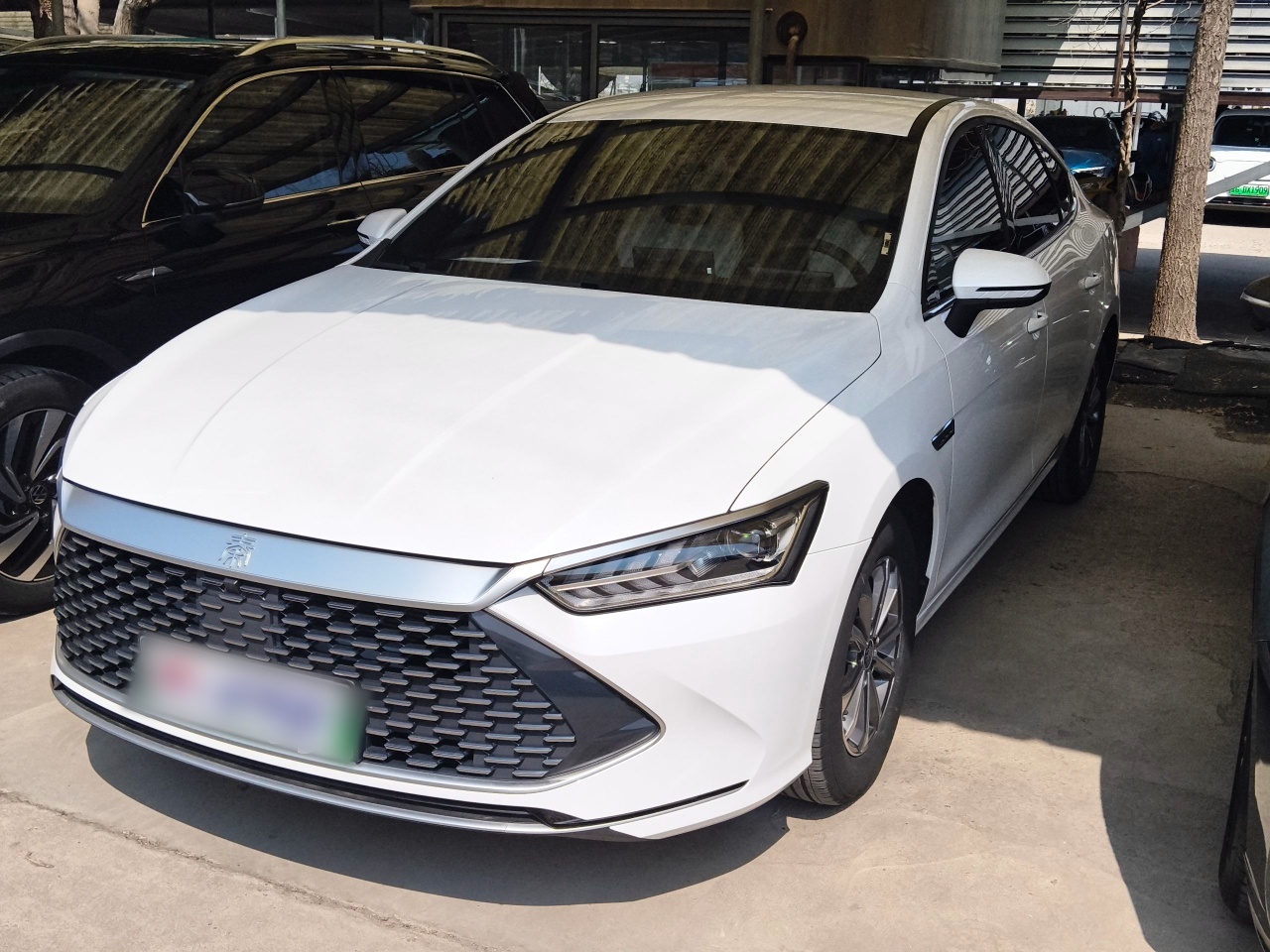 Parte inferior delantera