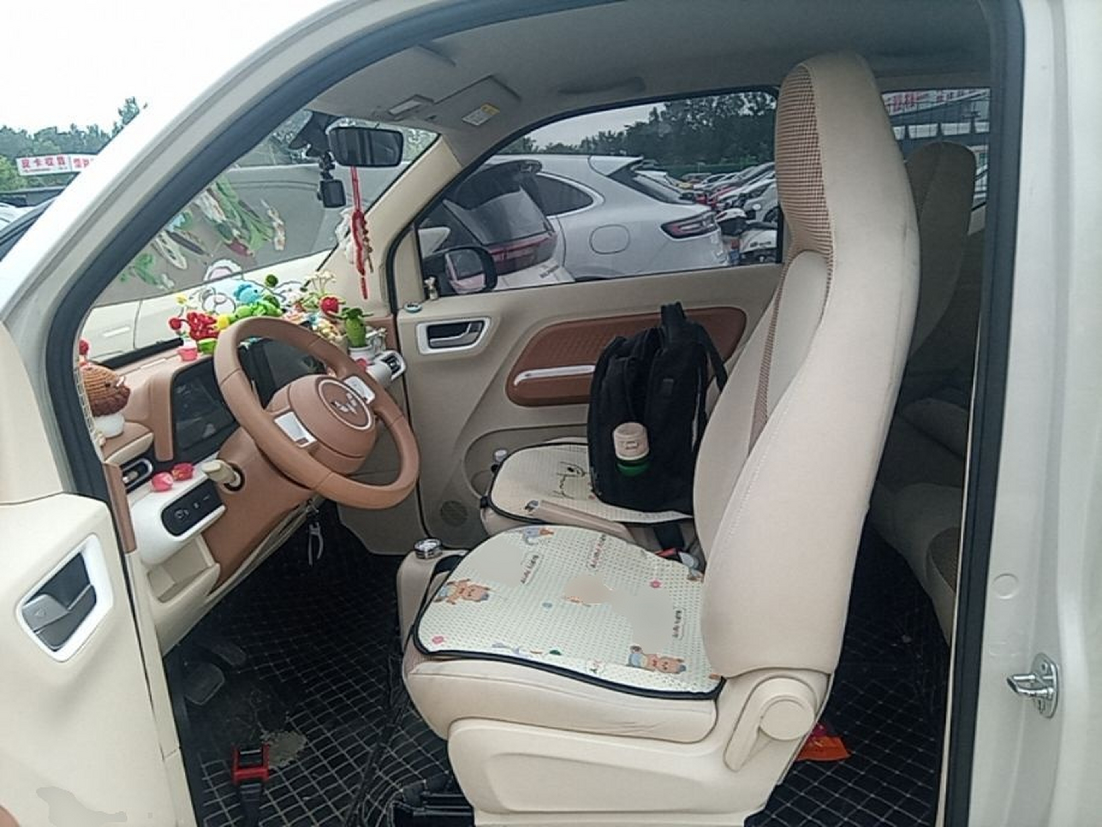 Interior delantero