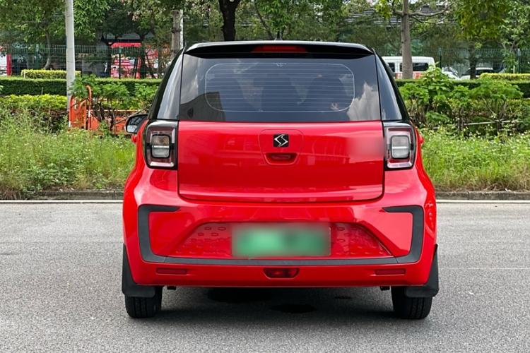 Used SOL E10X 2022 Flower Fairy Style Baby's Breath