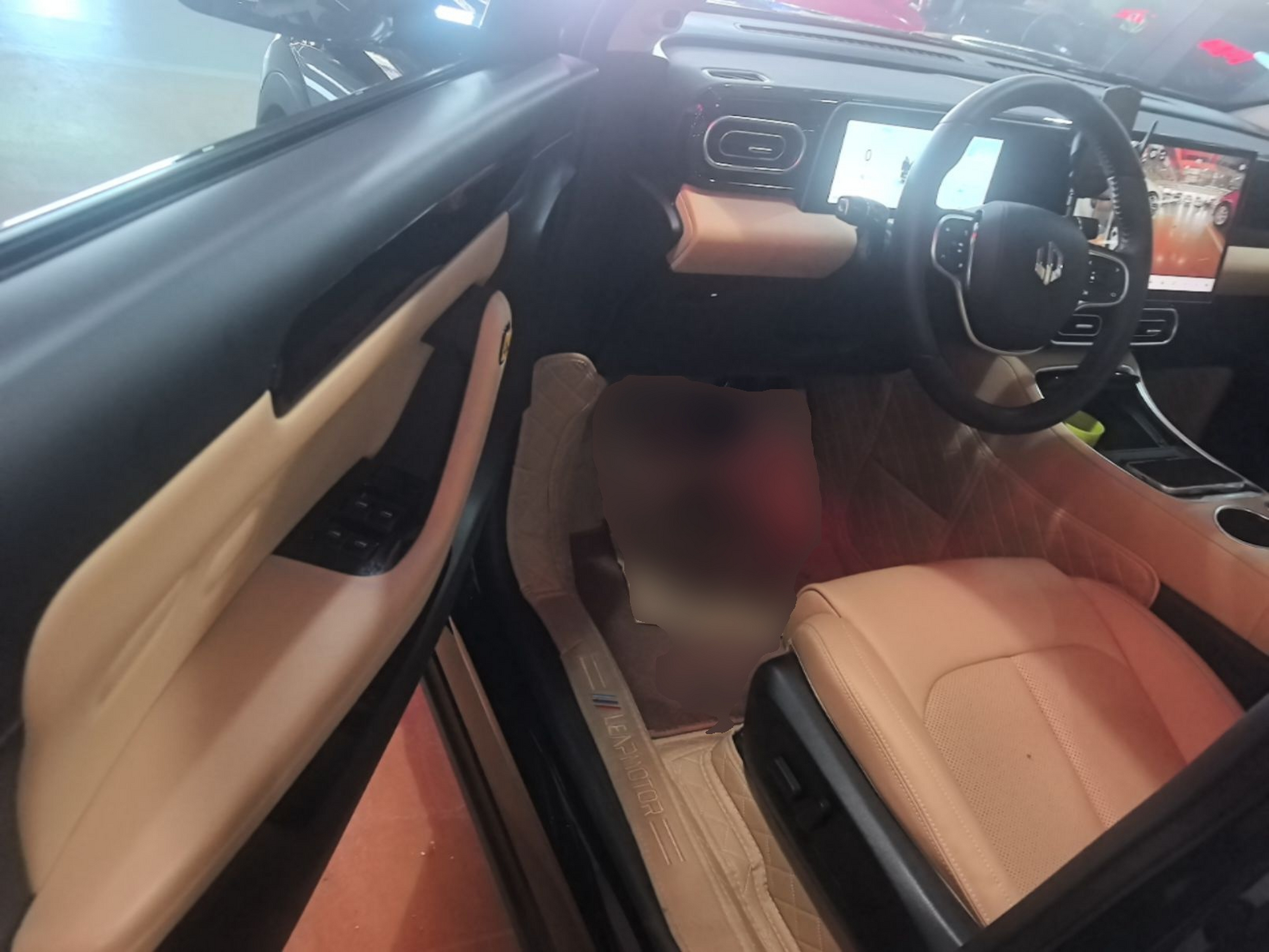 Interior delantero