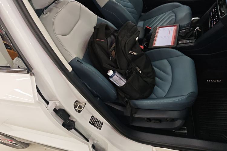 Used Volkswagen Tharu 2024 300TSI Two-Wheel-Drive Moon Luxury Edition Right Front Seat