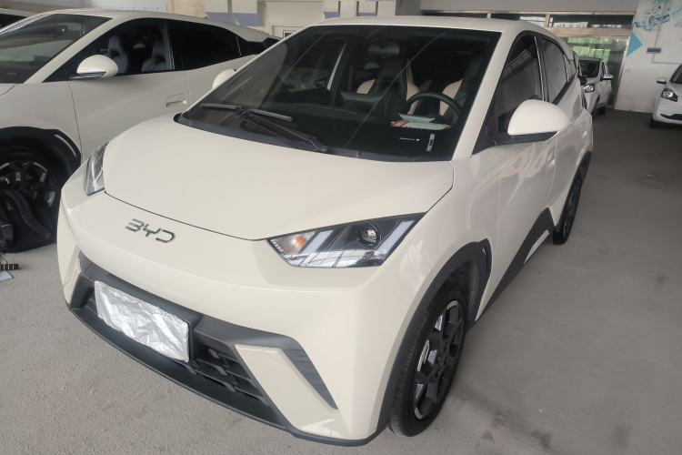 Used BYD Seagull 2025 305 km Free Version