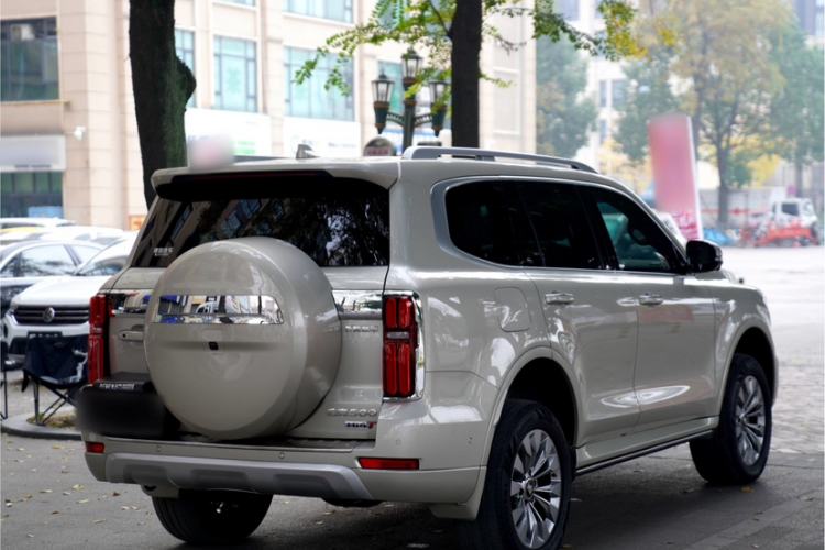 Used Tank 500 New Energy 2023 Hi4-T
