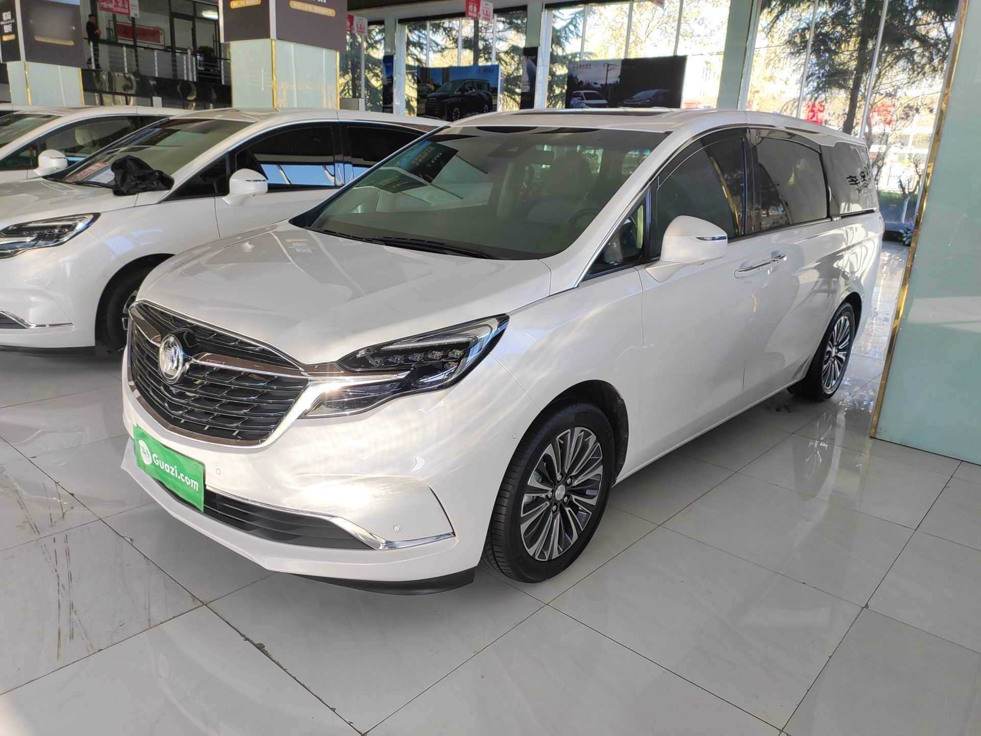 Parte inferior delantera