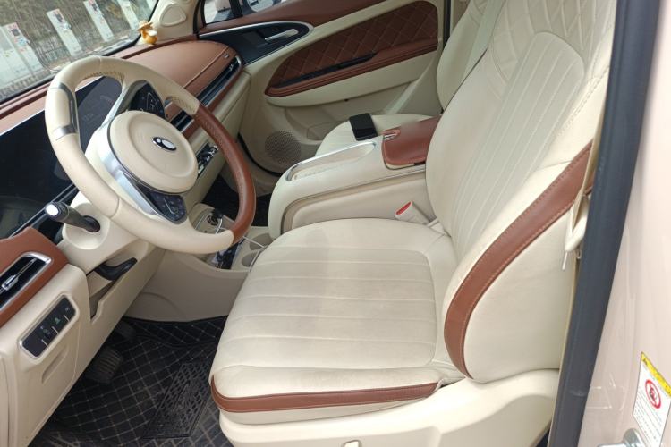 Used ORA Good Cat 2023 401 km Standard Range Luxury Version Lithium Iron Phosphate
