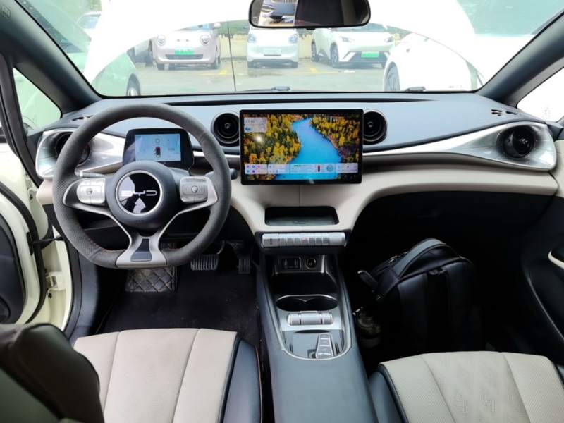 Used BYD Dolphin 2023 420 km Fashion Edition — 9