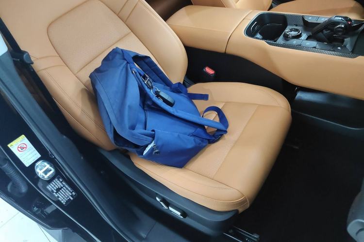 Used Haval H Dog New Energy 2024 Hi4 102km Trend Electric Version Plus