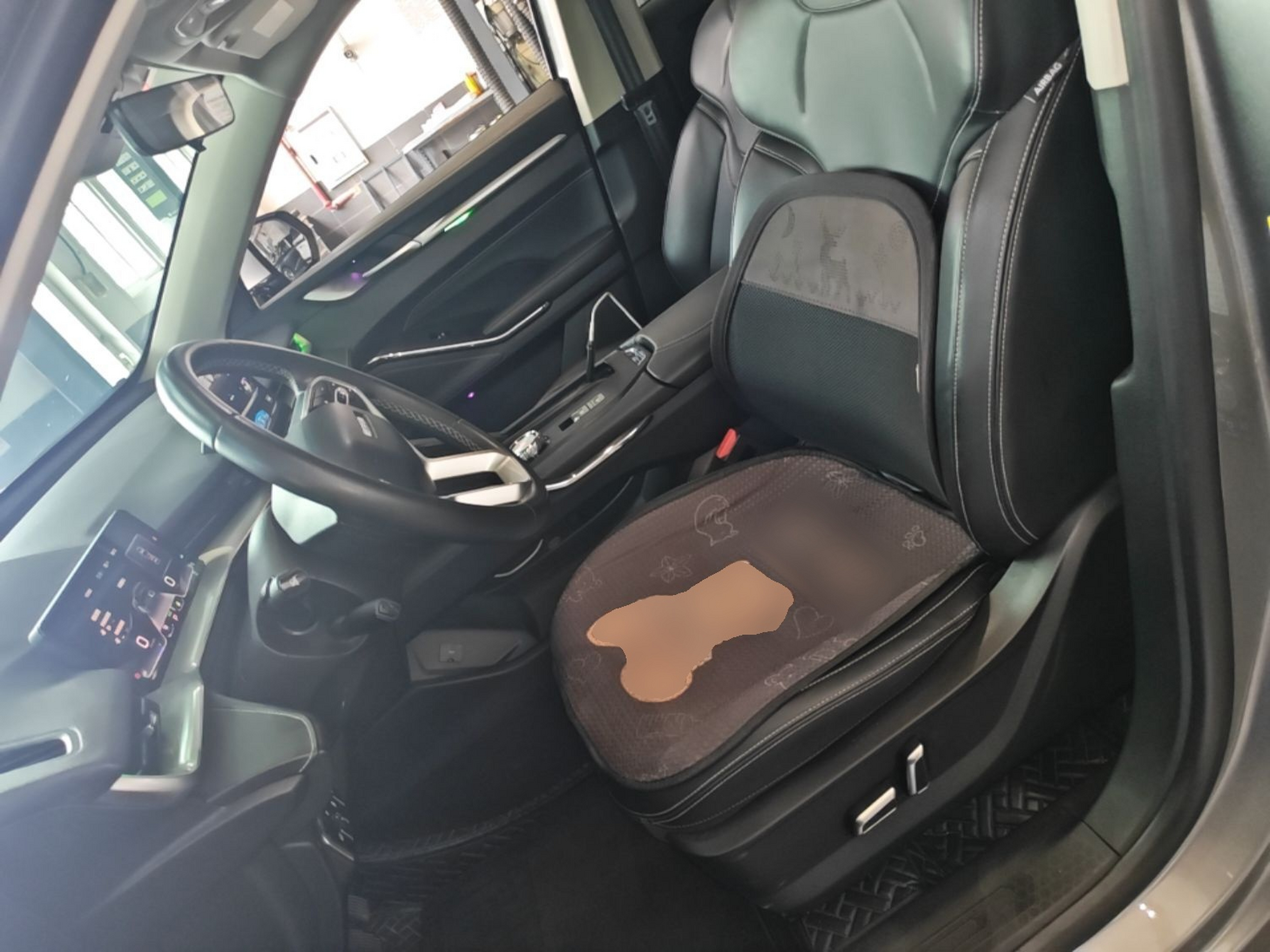Interior delantero