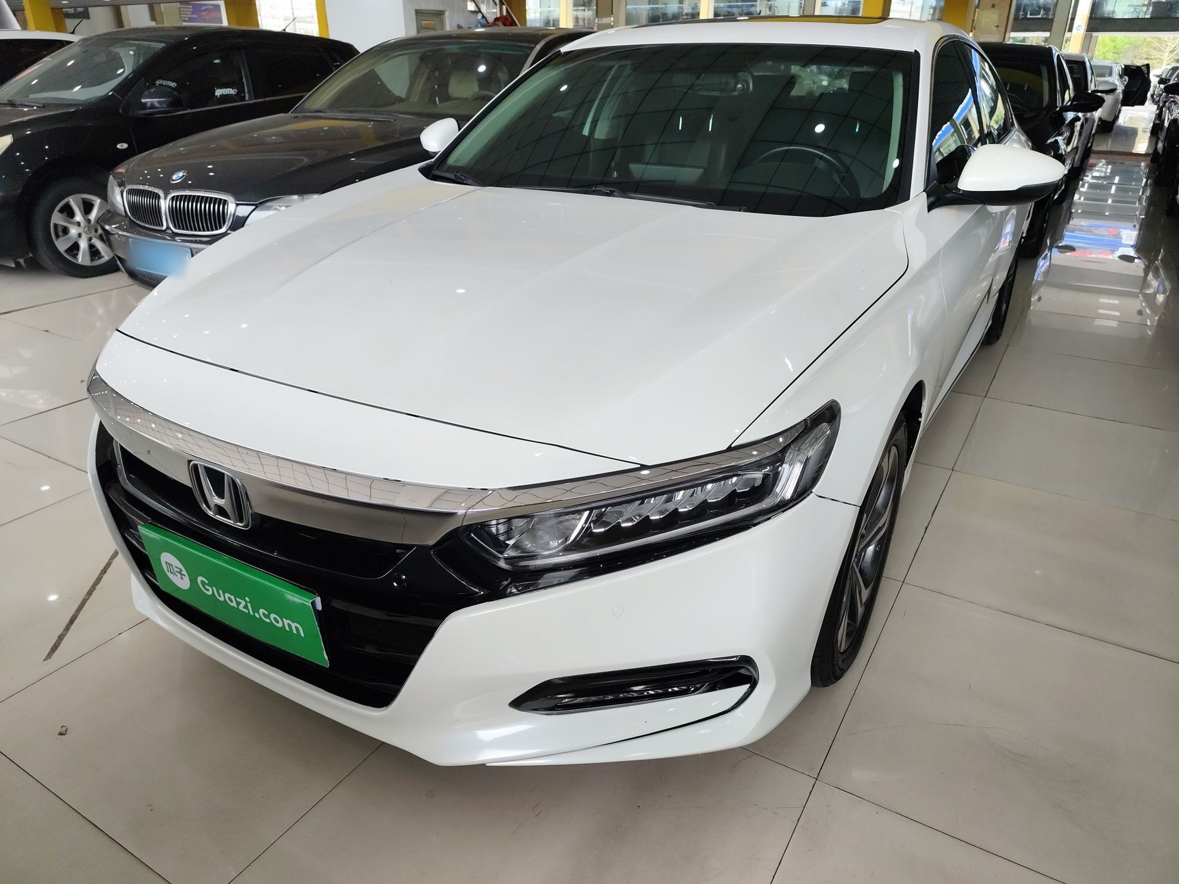 Parte inferior delantera