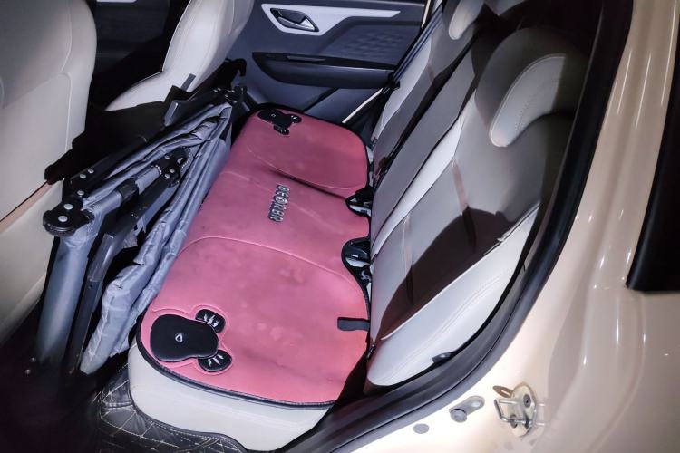 Used SOL E10X 2022 Flower Fairy Design Four-Leaf Clover
