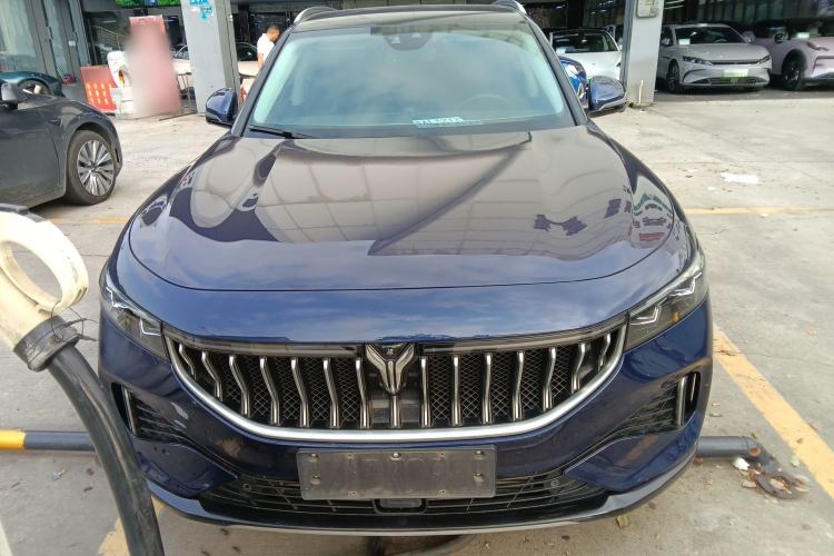 Used VOYAH FREE 2021 Four-Wheel Drive Standard Range-Extended Exclusive Luxury Package Front