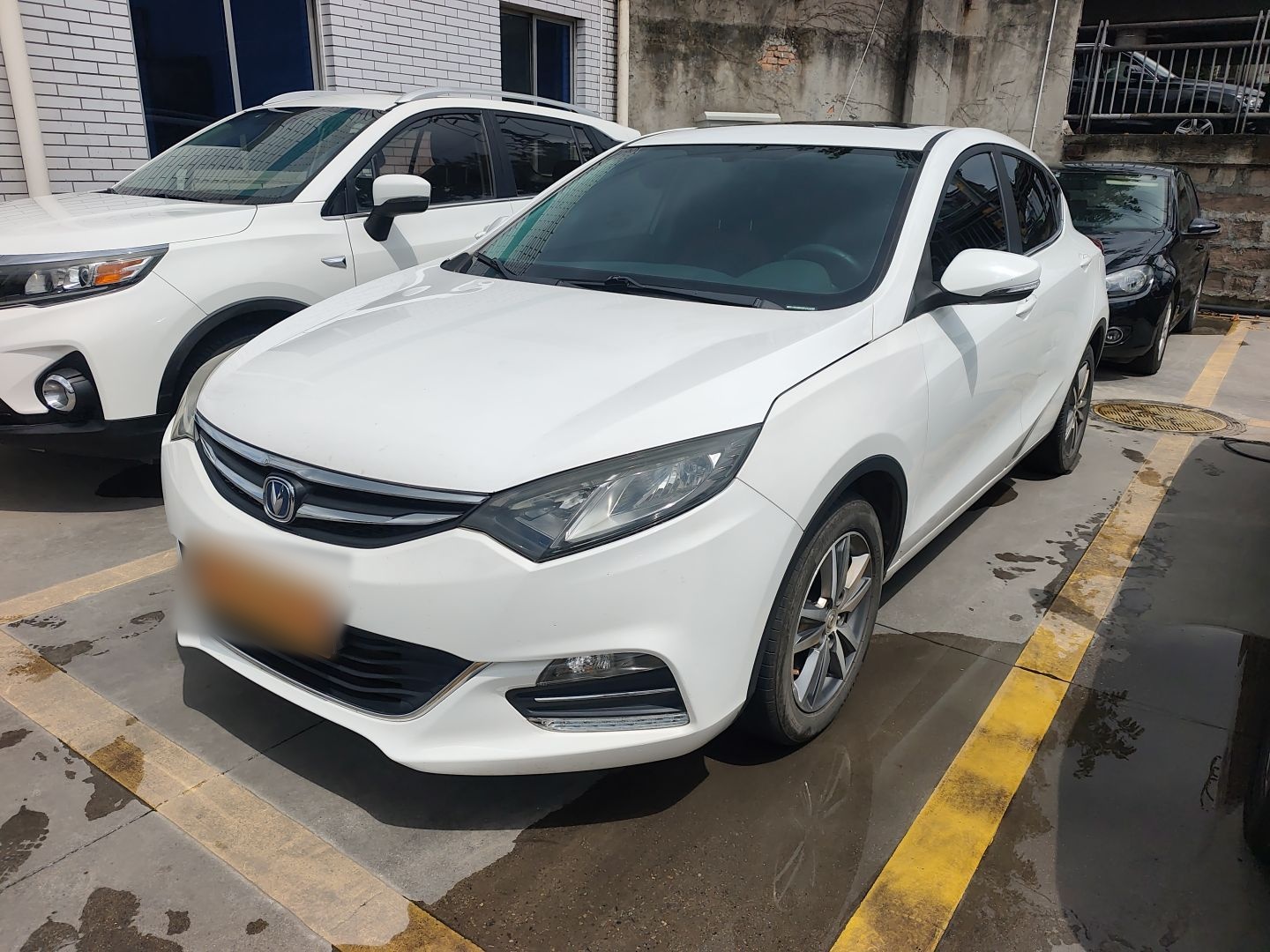 Parte inferior delantera