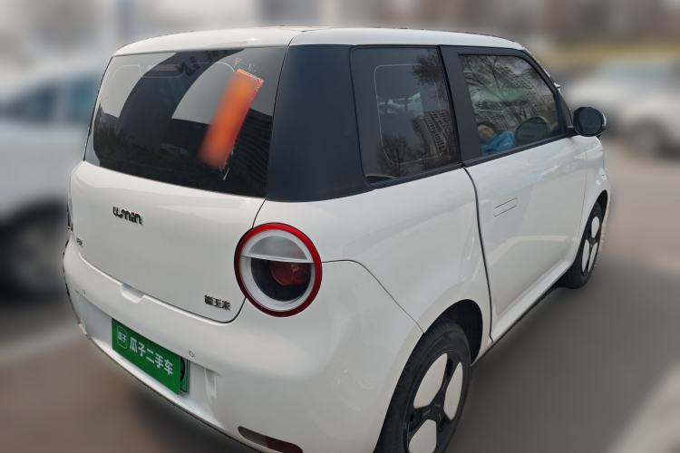 Used Qiyuan Lumin 2023 205km Xiangqin Version
