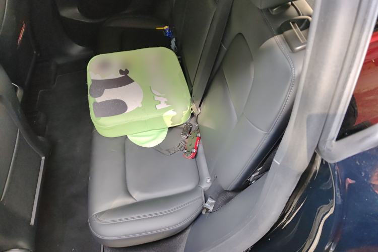 Used Tesla Model Y 2021 Standard Range Rear-Wheel Drive Version
