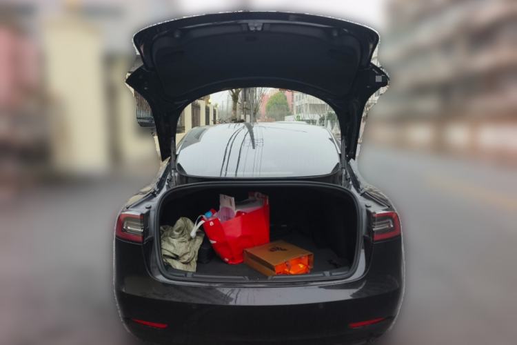 Used Tesla Model 3 2020 Revised Version Standard Range Rear-Wheel Drive – Upgraded Edition
