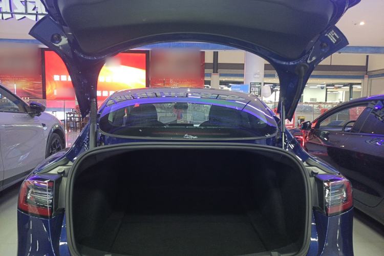 Used Tesla Model 3 2021 Revised Version Standard Range Rear-Wheel Drive Upgraded Edition 3D1