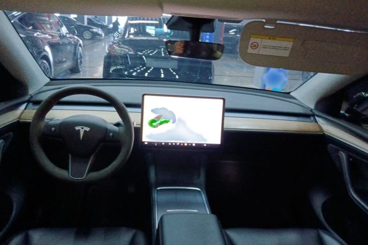 Used Tesla Model Y 2021 Standard Range Rear-Wheel Drive Version
