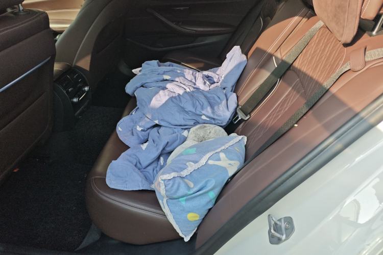 Used BMW 5 Series New Energy 2019 530Le Luxury Package
