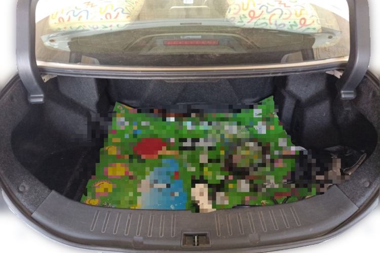 Used BYD Qin New Energy 2017 1.5T Luxury Model Trunk