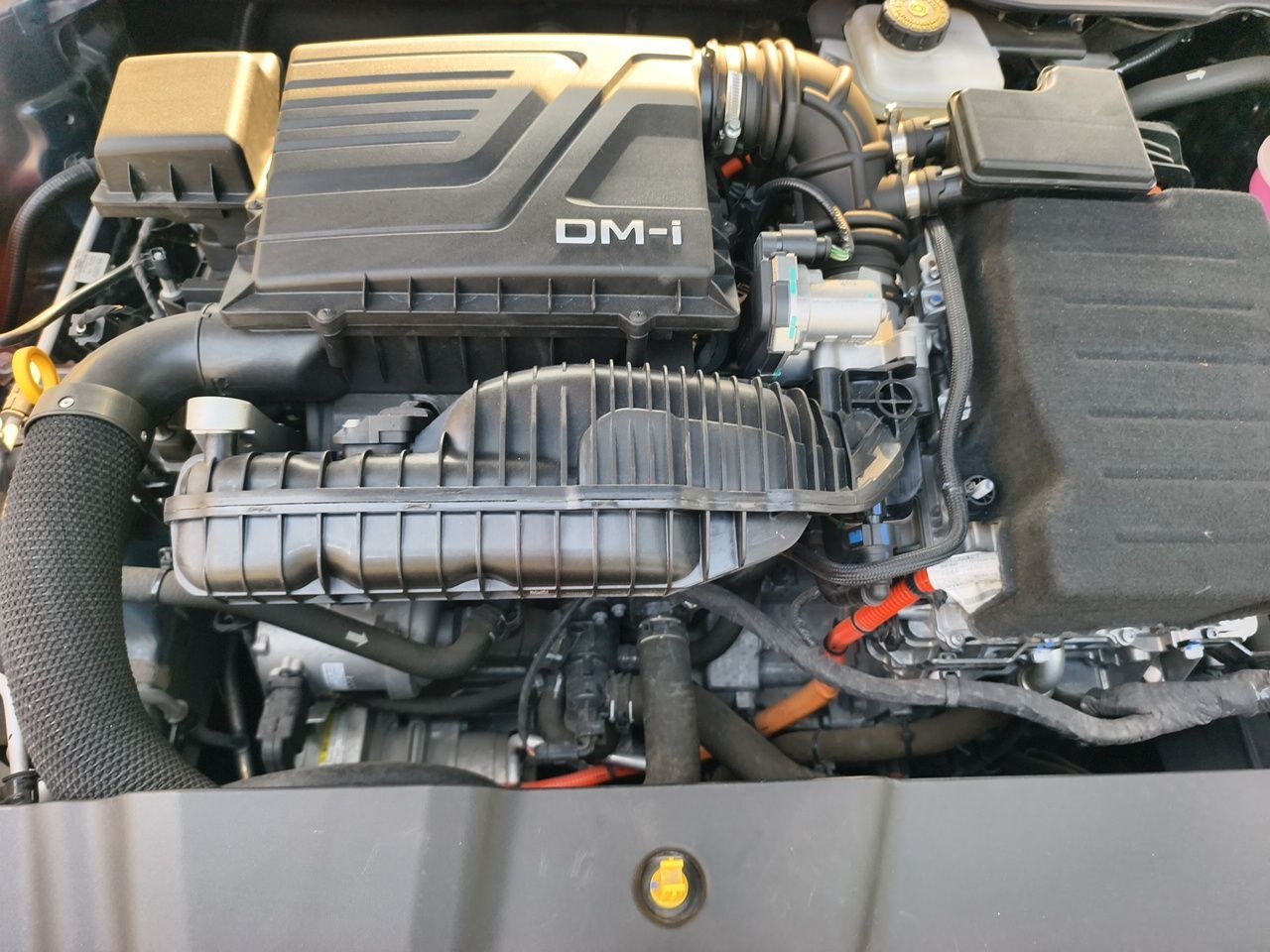 BYD Qin PLUS 2024 HONOR Edition DM-i 55KM Leading Model — снимка 17