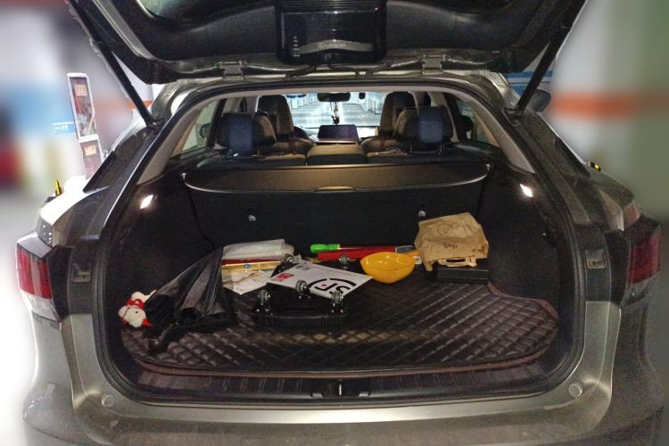 Used Lexus RX 2020 Revised Version 300 Two-Wheel Drive Comfort Edition