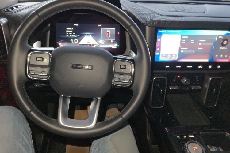 Used Haval DARGO 2021 2.0T DCT 4x4 Chinese Rural Dog Edition
