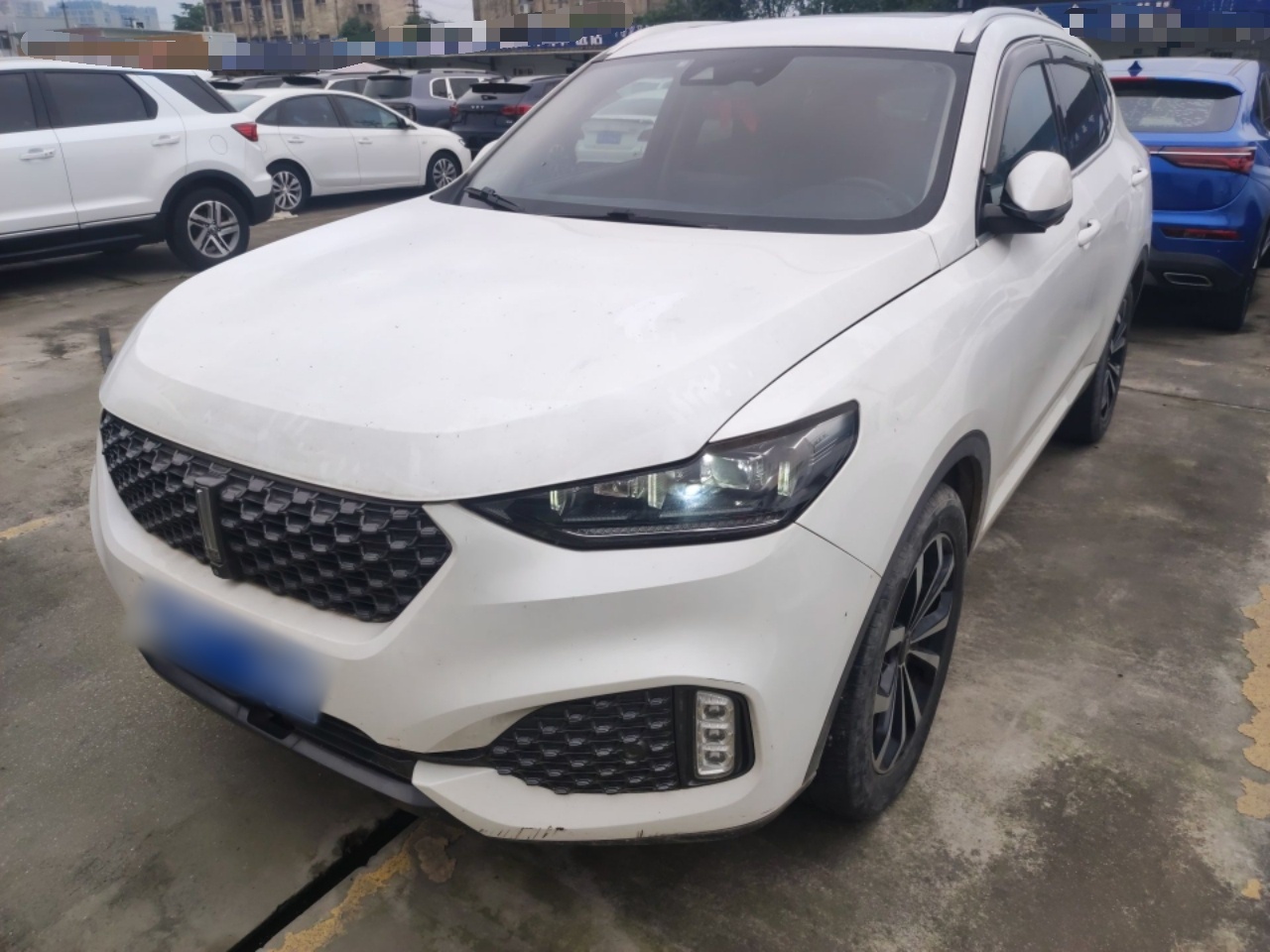 Parte inferior delantera