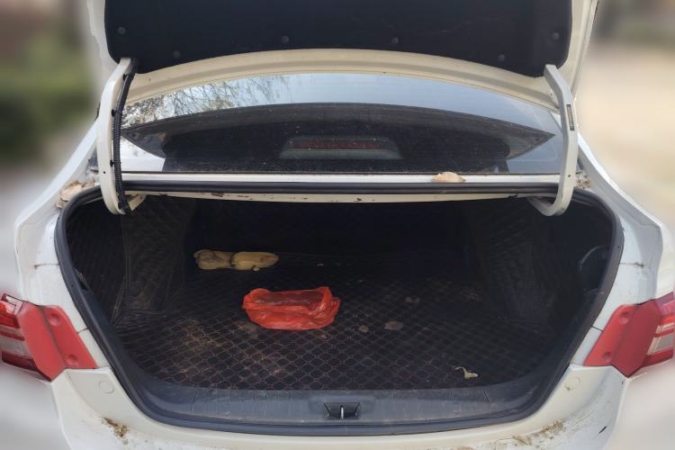 Used FORTHING S50 2021 Operational Type