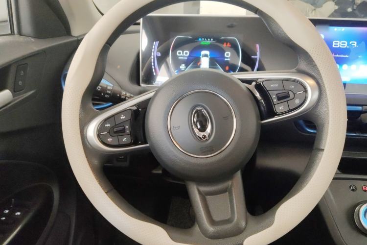 Used ORA White Cat 2020 305 km Luxury Version Steering Wheel