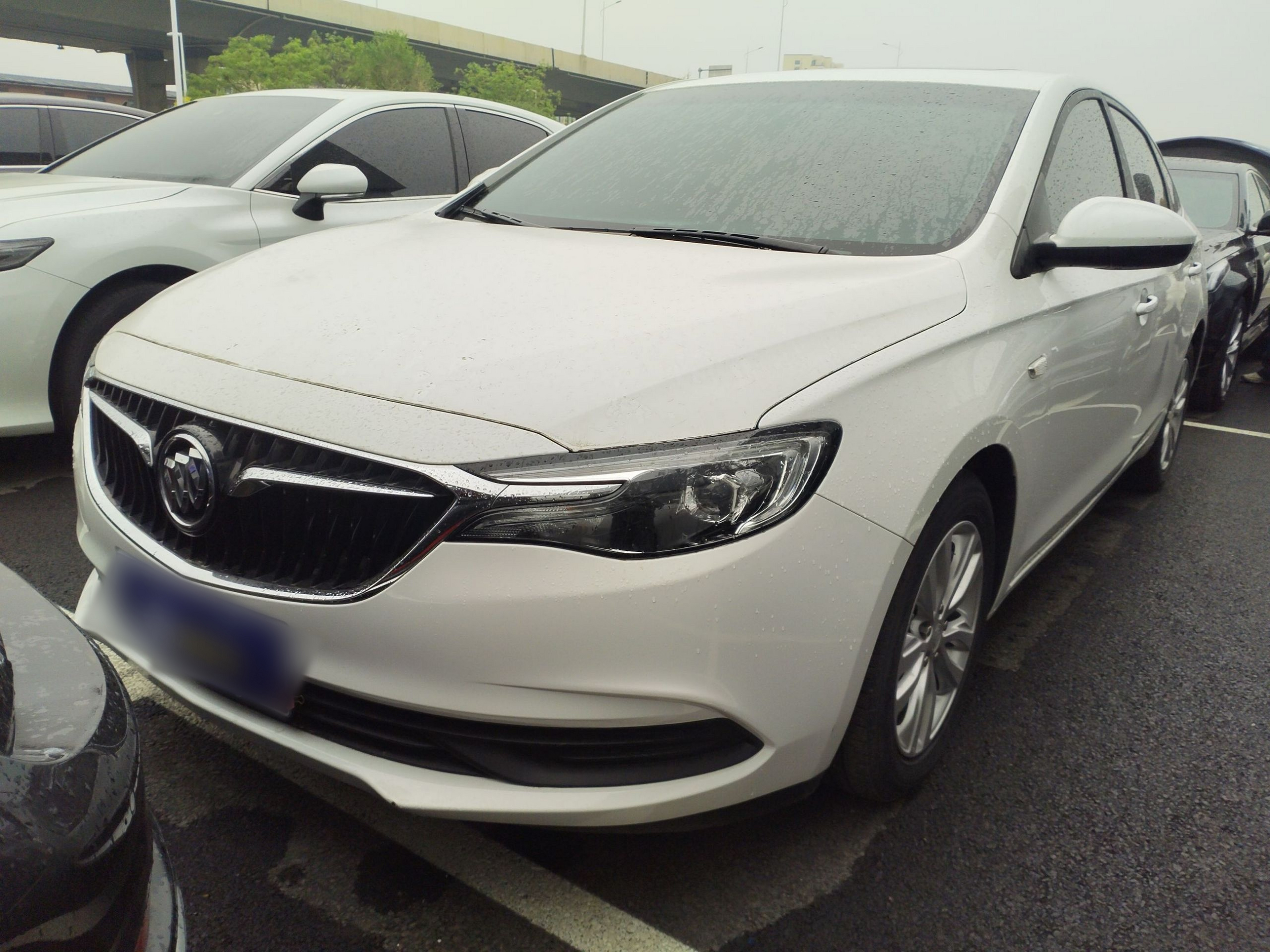 Parte inferior delantera