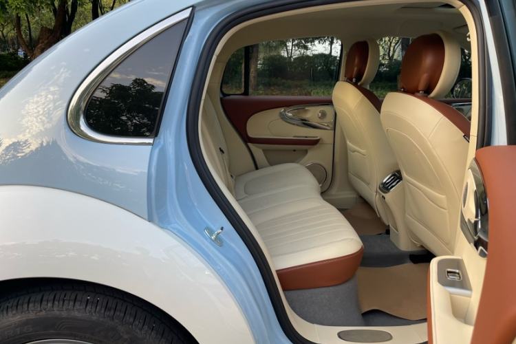 Used ORA Ballet Cat 2023 401 km Luxury Version
