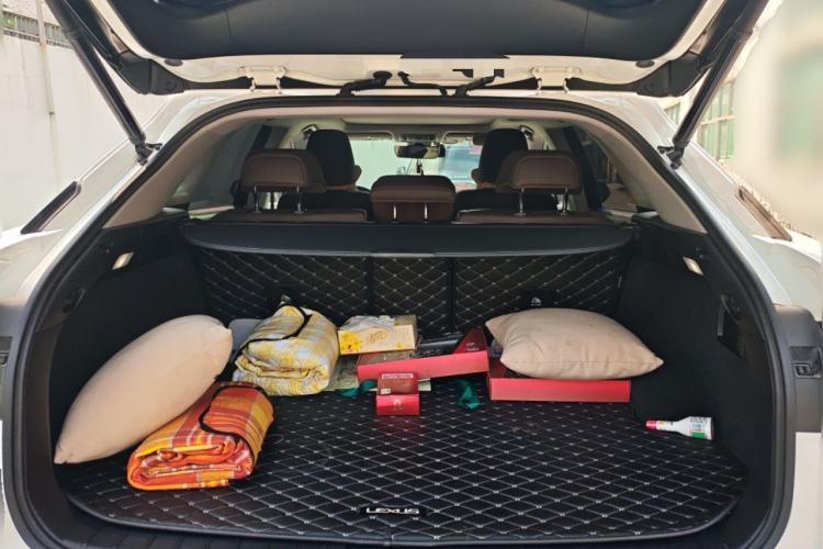 Used Lexus RX 2020 300 4x4 Elegant Edition China VI