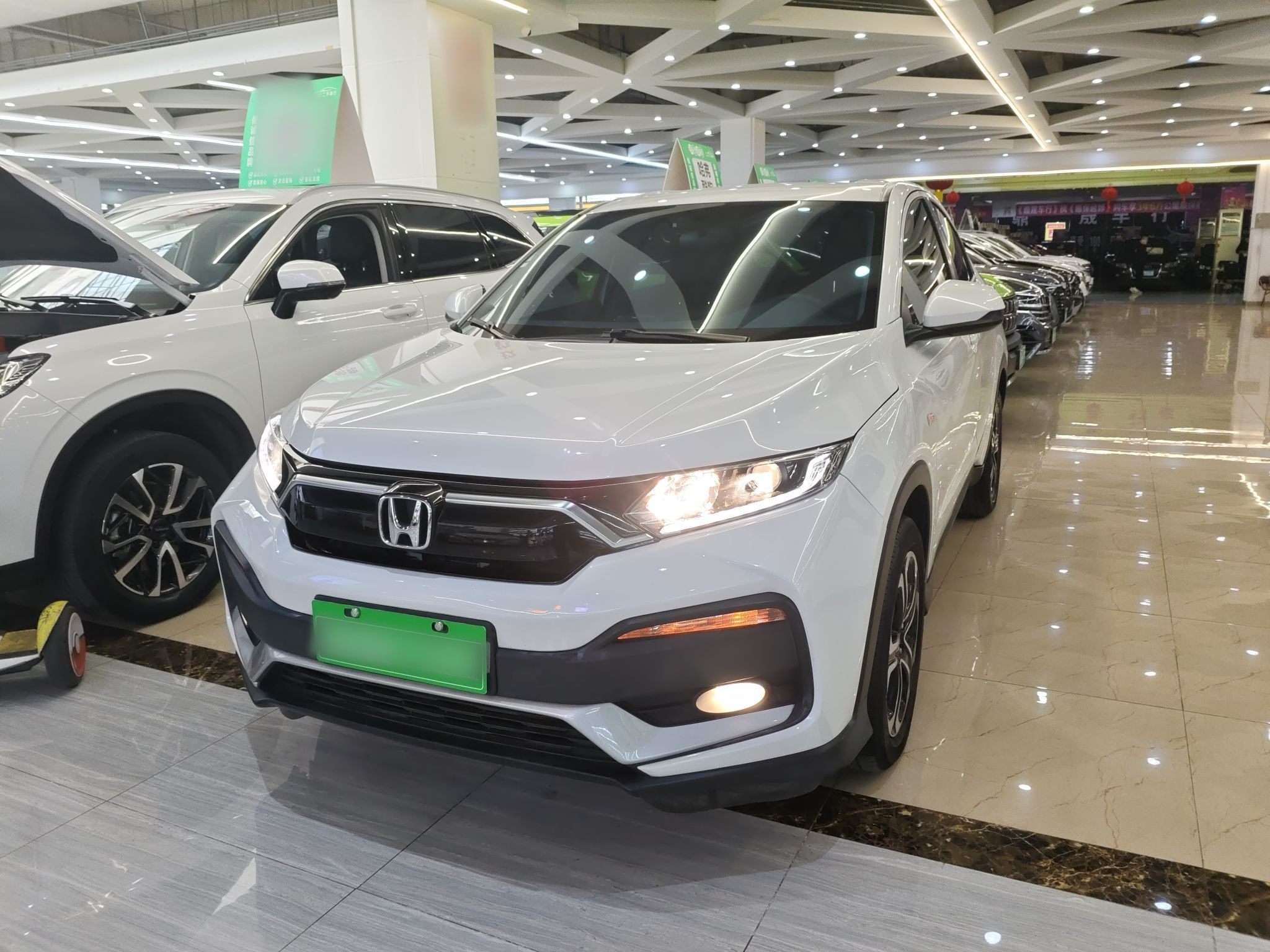 Parte inferior delantera